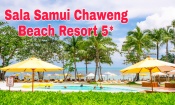 Обзор отеля Sala Samui Chaweng Beach Resort