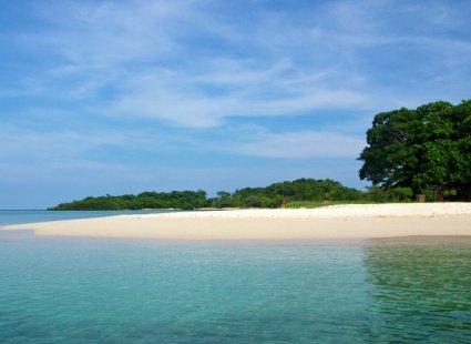 Pig's Island
